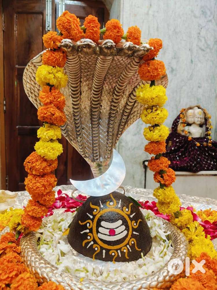 Rooms are available for rent