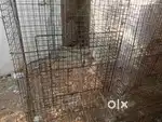 Used cages for sale