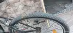 Victor 91 Cycle