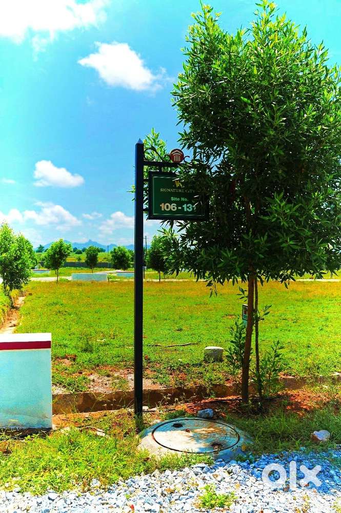 Good Investment Opportunity – Approved Plots for Sale