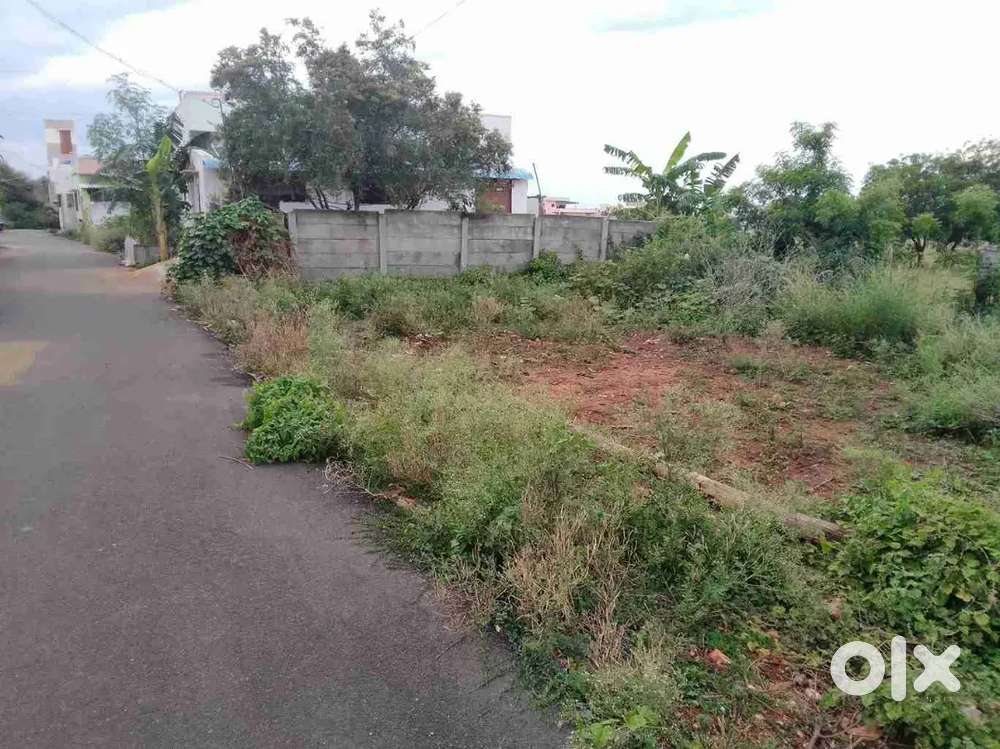 Empty land for sale