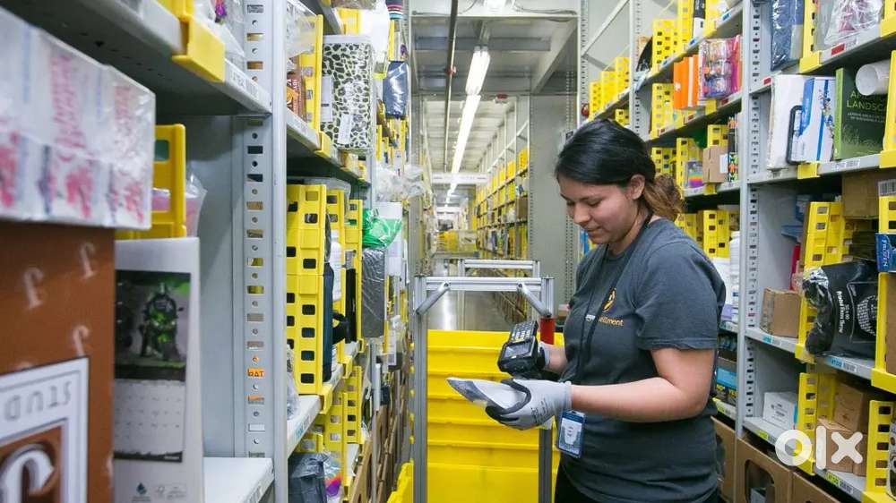 LOGISTICS IS BESPEAKING FRESHERS.