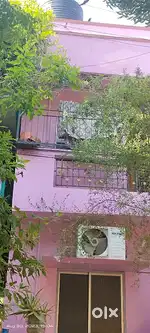 Pinky colony home for sales