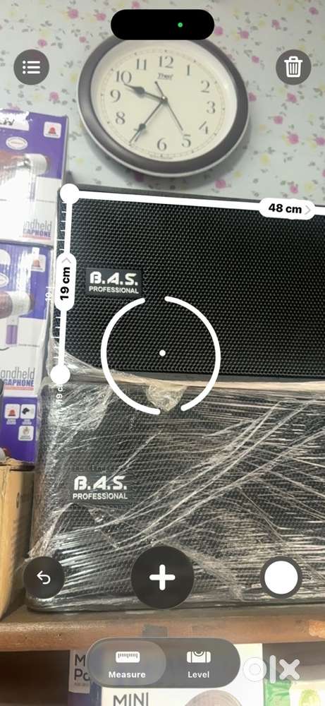 BAS PROFESSIONAL SPEAKER b206