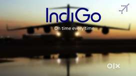 Vacancy Available In Indigo Airlines Authority