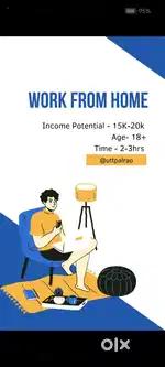 Online business (work from home)