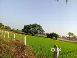 10 to 12 gunta land for sale in bettahalli village magadi road