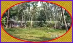 7 cents House plot for sale in near Thiruvannur