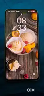 Samsung S21FE