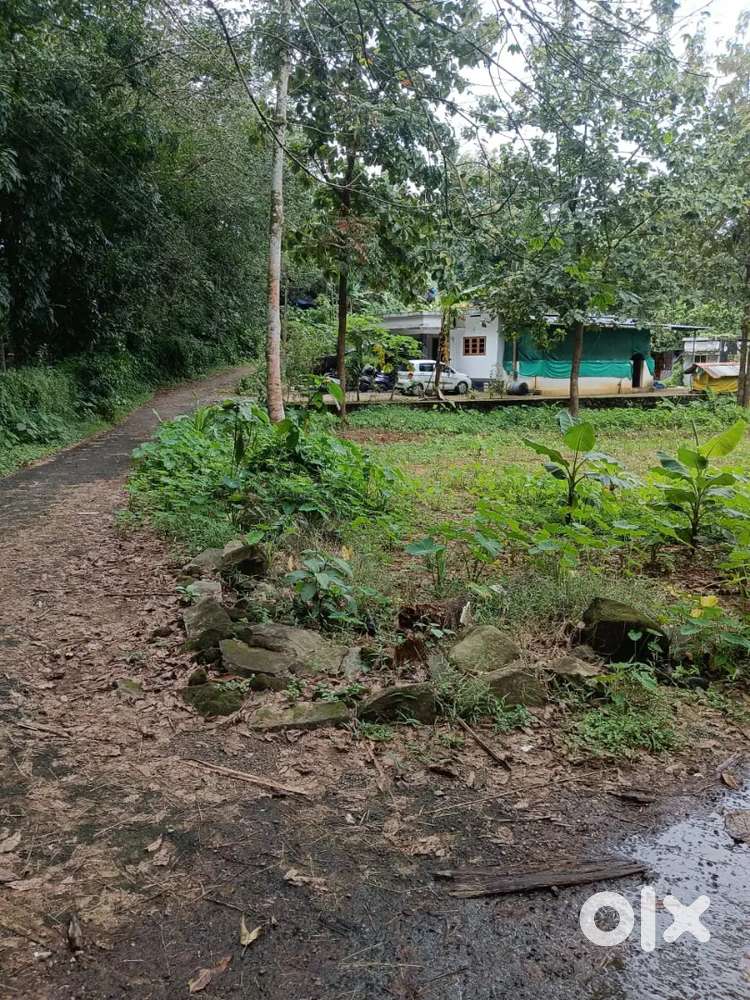 10 cents Land - 1.10 Lakh per cent