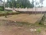 5 SENT INFOPARK NEAR IDACHIRA SIDE RESIDENTIAL AREA PER SENT 11LAKH