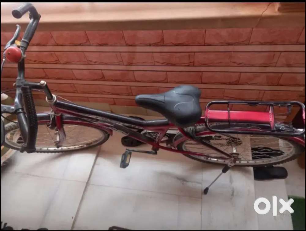 Hippo cycle best condition