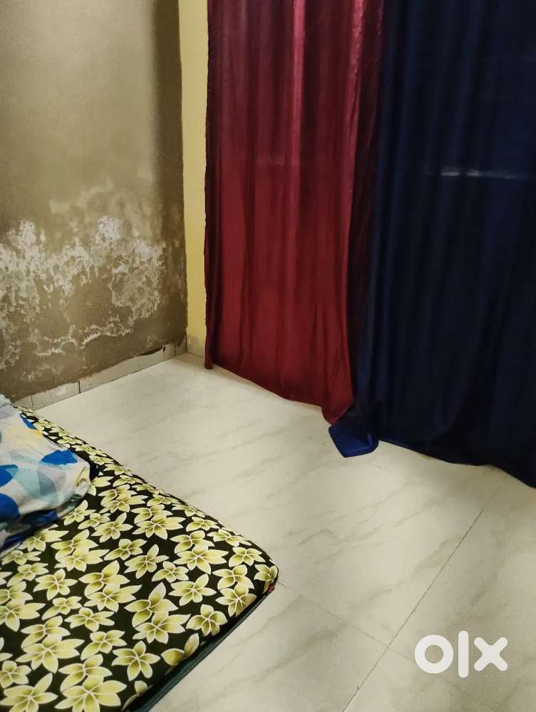 Need flat mate female