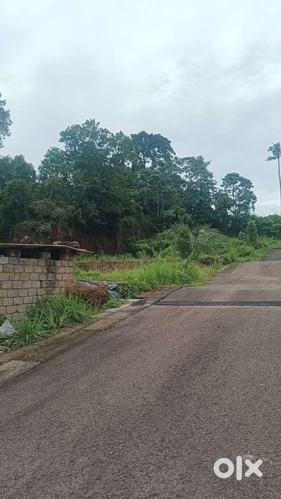 Plot for sale at Thiruvalla