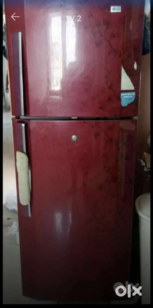 LG red floral print 245 litres double door fridge