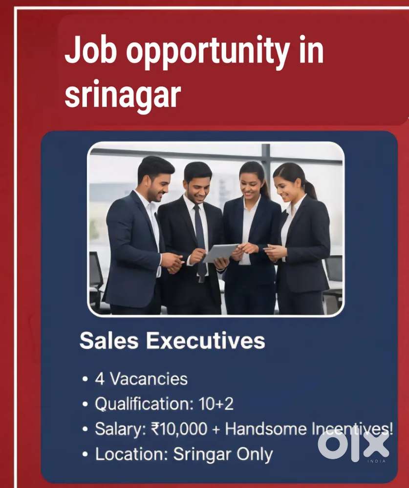 sales executives and drivers