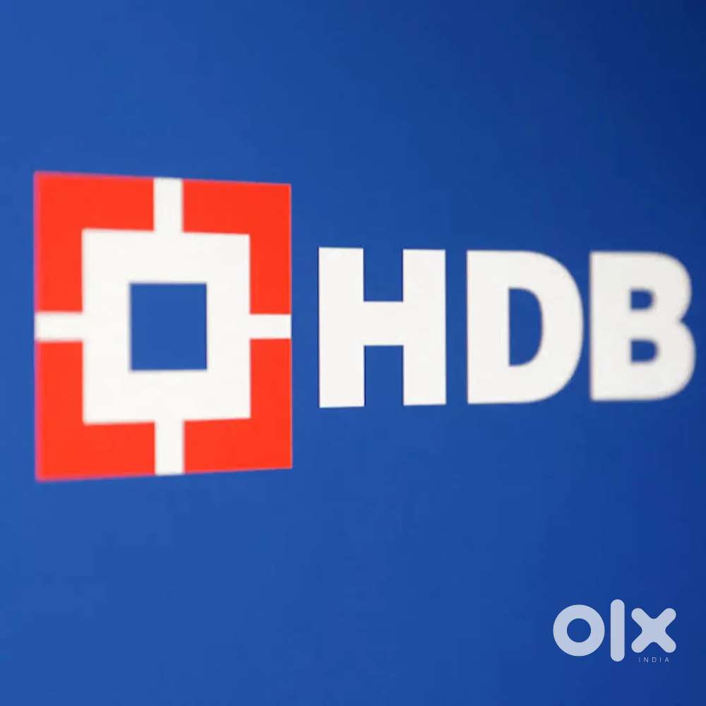 HDB FINANCIAL SERVICES LTD