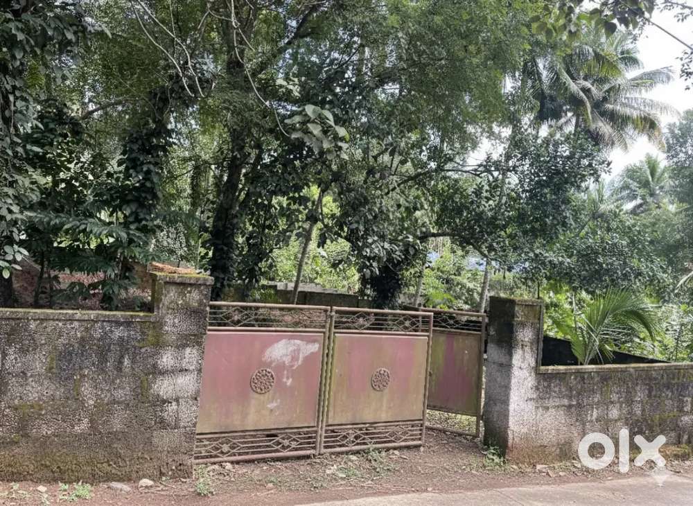 Plot for sale 7 cent available