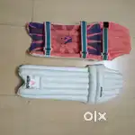 Cricket pad company apex pad name mikado