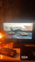 Gaming monitor