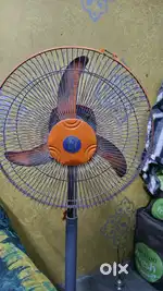 Fan  Toofan