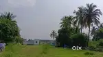 North facing DTCP approved land for sale