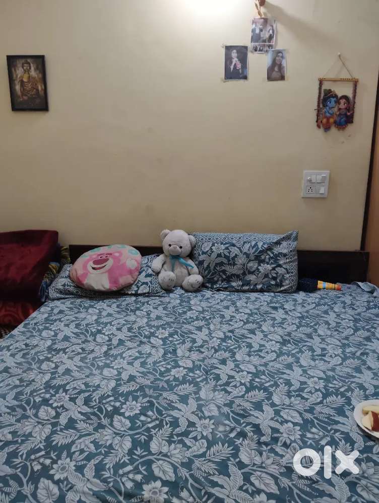 Need female roommate