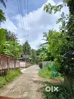 Residential Plot for Sale in Palliyara Centre, Thrissur-Thrikkur
