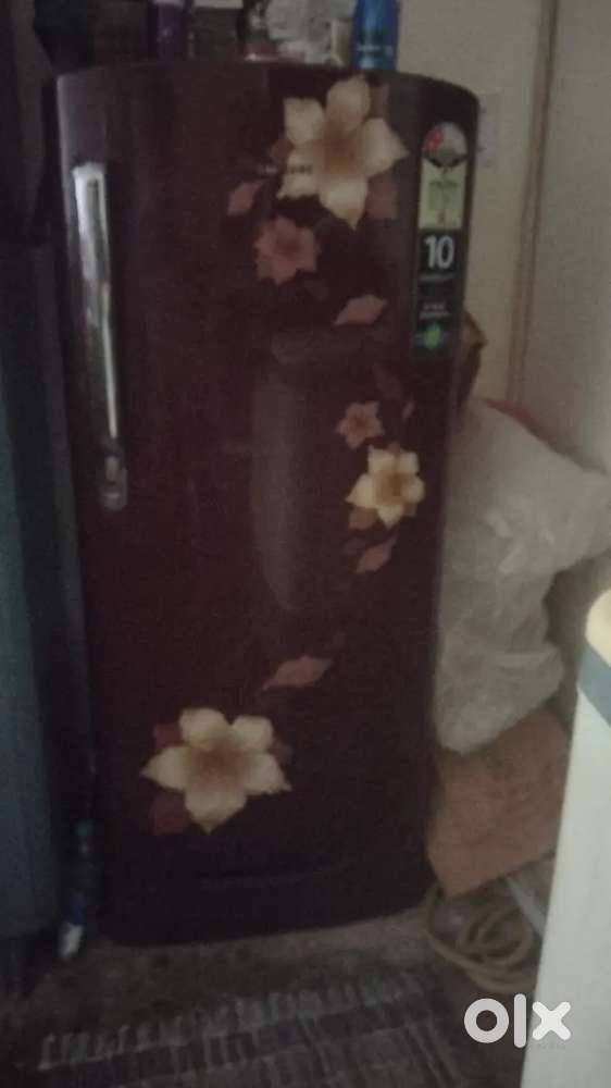 Freeze single door