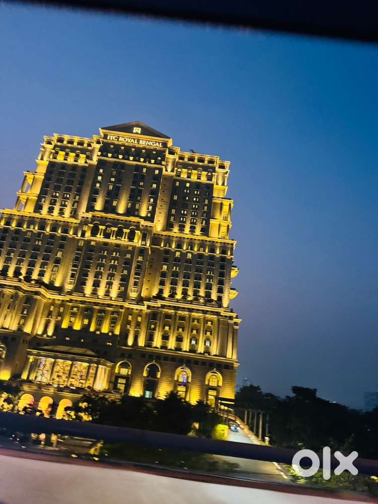 Assistant Job for girls