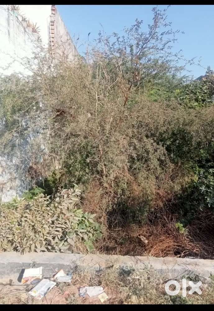 100 Gaz 2 sides open plot at Rawta Mod