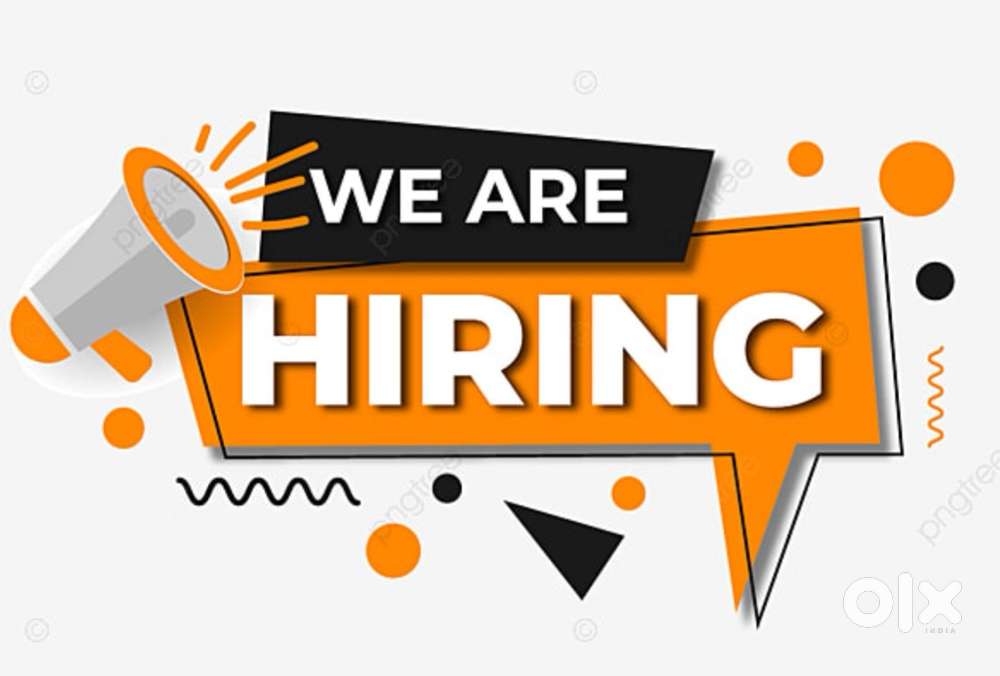 Need experienced accountant