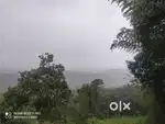 2 Acre Farm with House for Sale – Manalvayal, Wayanad,