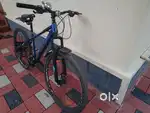 Chase 29 inch Gear Cycle
