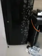 Samsung india