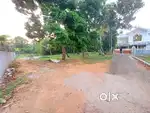 50 CENT ORGINAL LAND FOR SALE IN ALUVA NEAR alangad