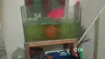 Fish Tank With Stand&Top Cover