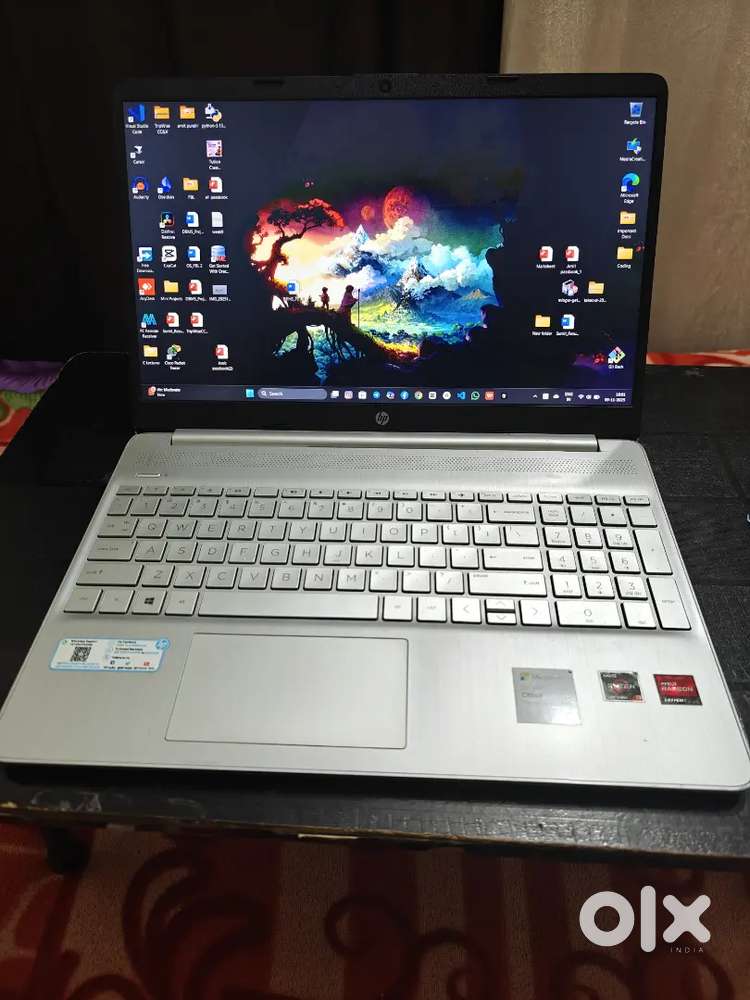 HP Laptop AMD Ryzen3-5300U, Radeon Graphics,16GB RAM, 64-bit Windows11