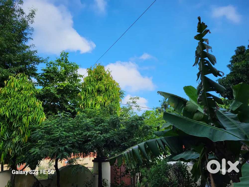 Has a beautiful Garden / Lawn