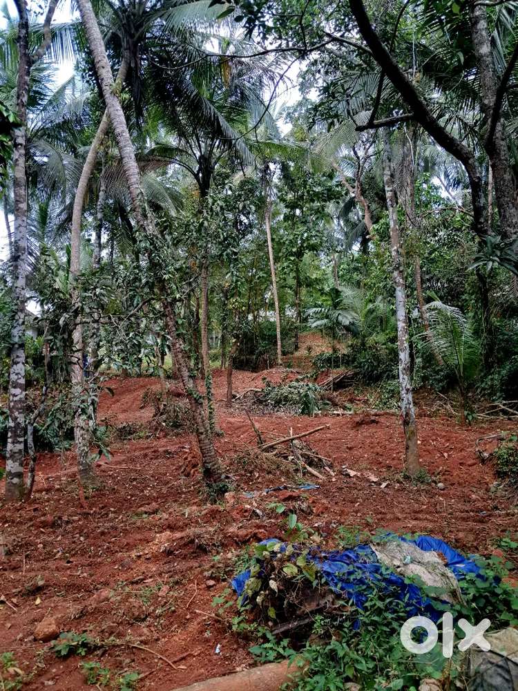 8 സെന്റ് സ്ഥലം വിൽപ്പനയ്ക്ക്