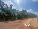 75,000 per bigha, 5 bigha land for lease. Near SH-19