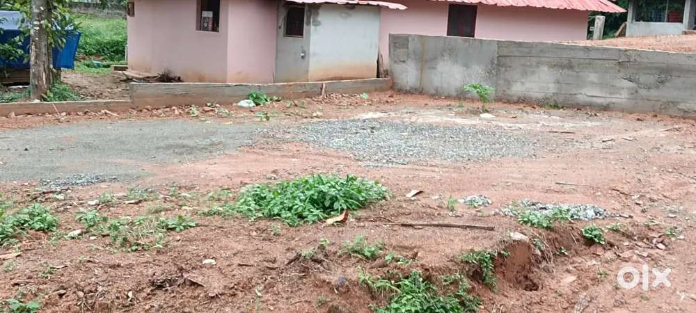 വെള്ളയാണി നേമം