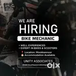Bike mechanic