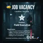 Field executive