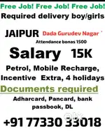 Parcel delivery boy bike