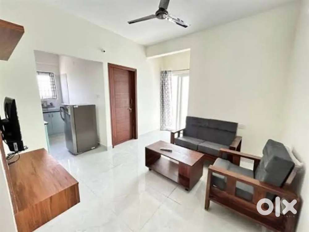 Furnished 2, 3 Bhk Flat for Rent, any location Dhanbad