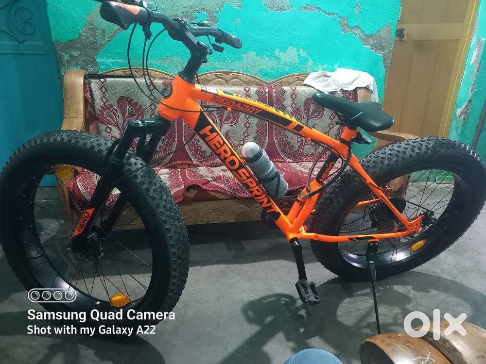 Fat bike gear cycle