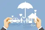 Insurance Calling