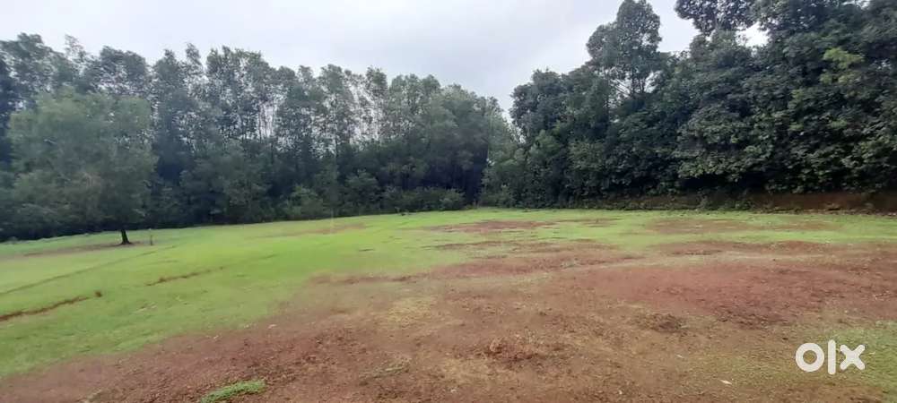 1.06 ACER CONVERSION LAND FOR SALE