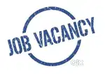 Ground Staff jobs in indigo Airlines urgent hiring